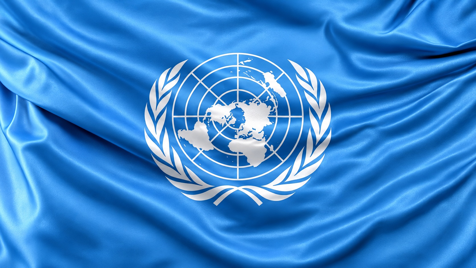 ZORO Organisation at the United Nations